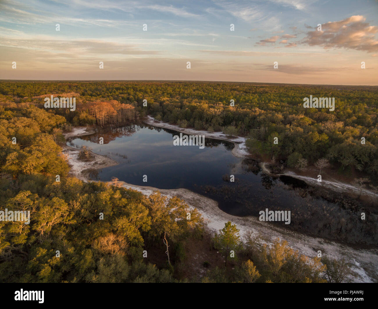 Indian Lago inverno. Indian Lake Forest, Marion County Florida Foto Stock