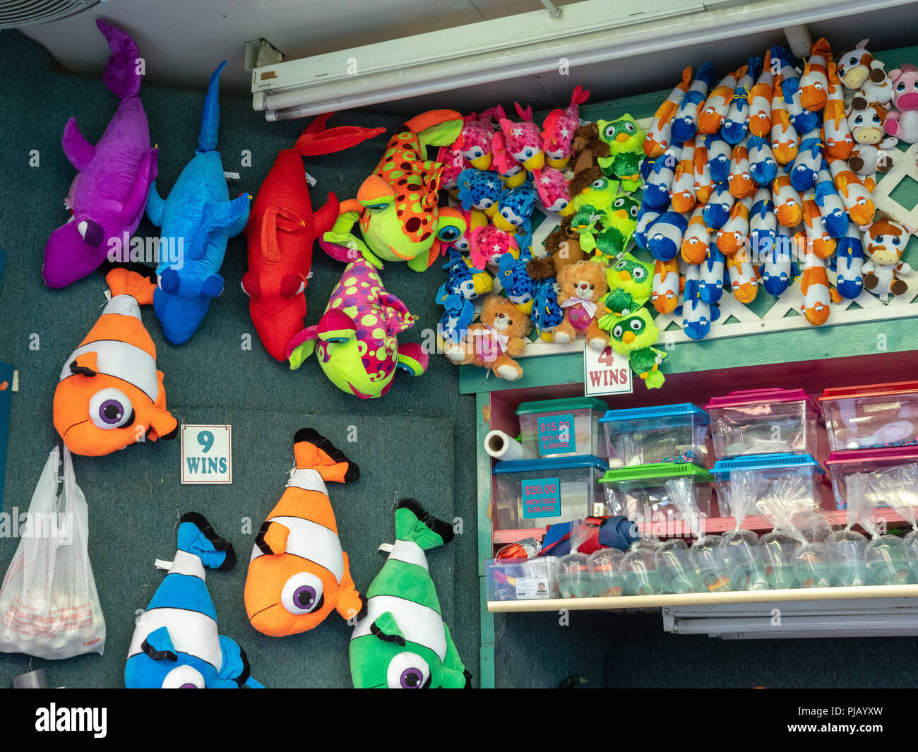 Vari live e pesce ripieno dei premi ad un gioco di carnevale Foto Stock
