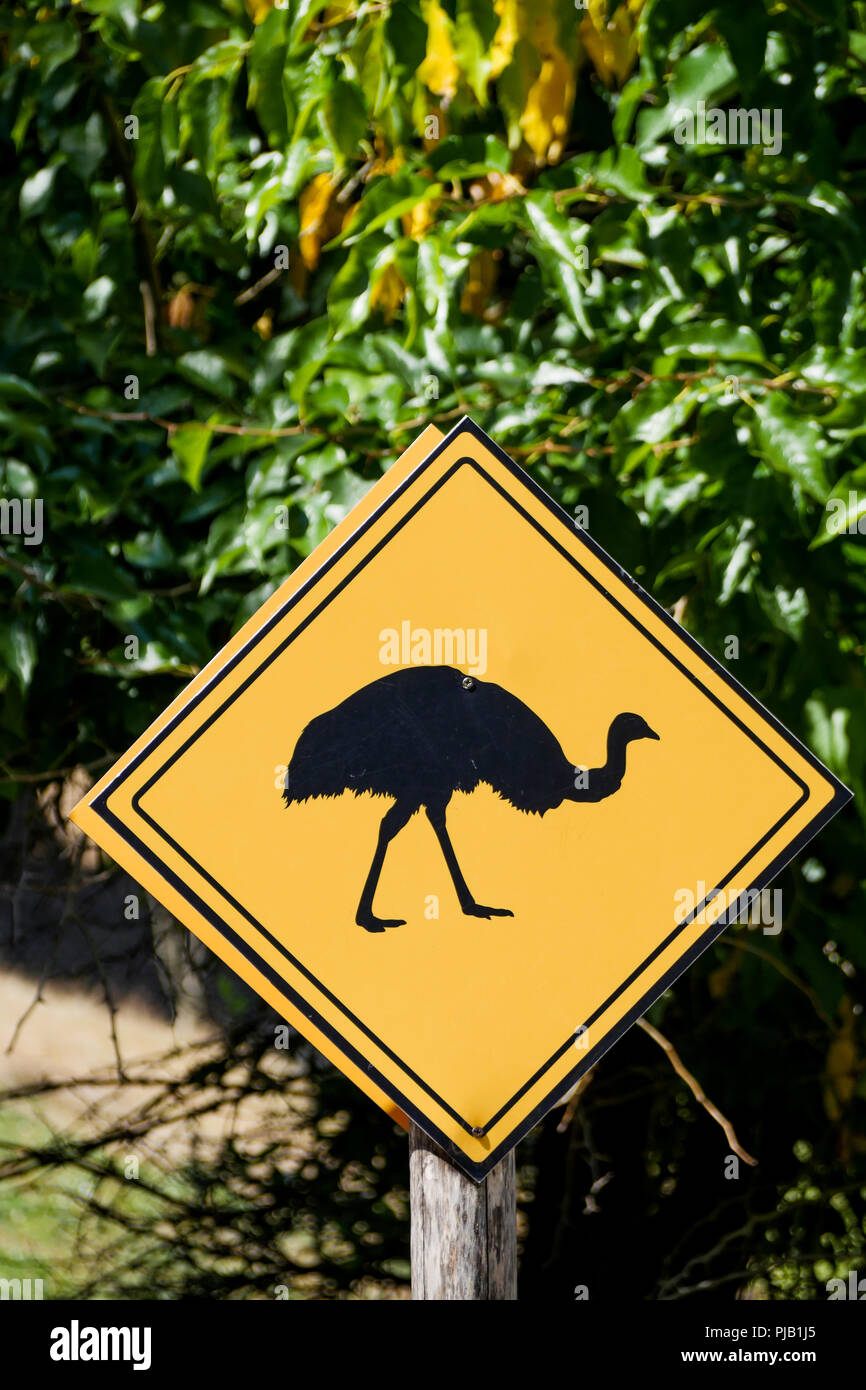 Struzzo, Australian cartello stradale, parco degli uccelli, Villars Les Dombes, Francia Foto Stock