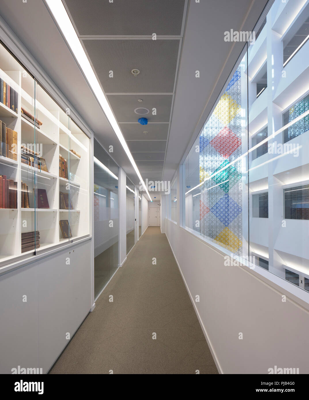 Vista interna con artwork da Rasheed Araeen. Aga Khan Centre di Londra, Regno Unito. Architetto: Maki e Associates, 2018. Foto Stock