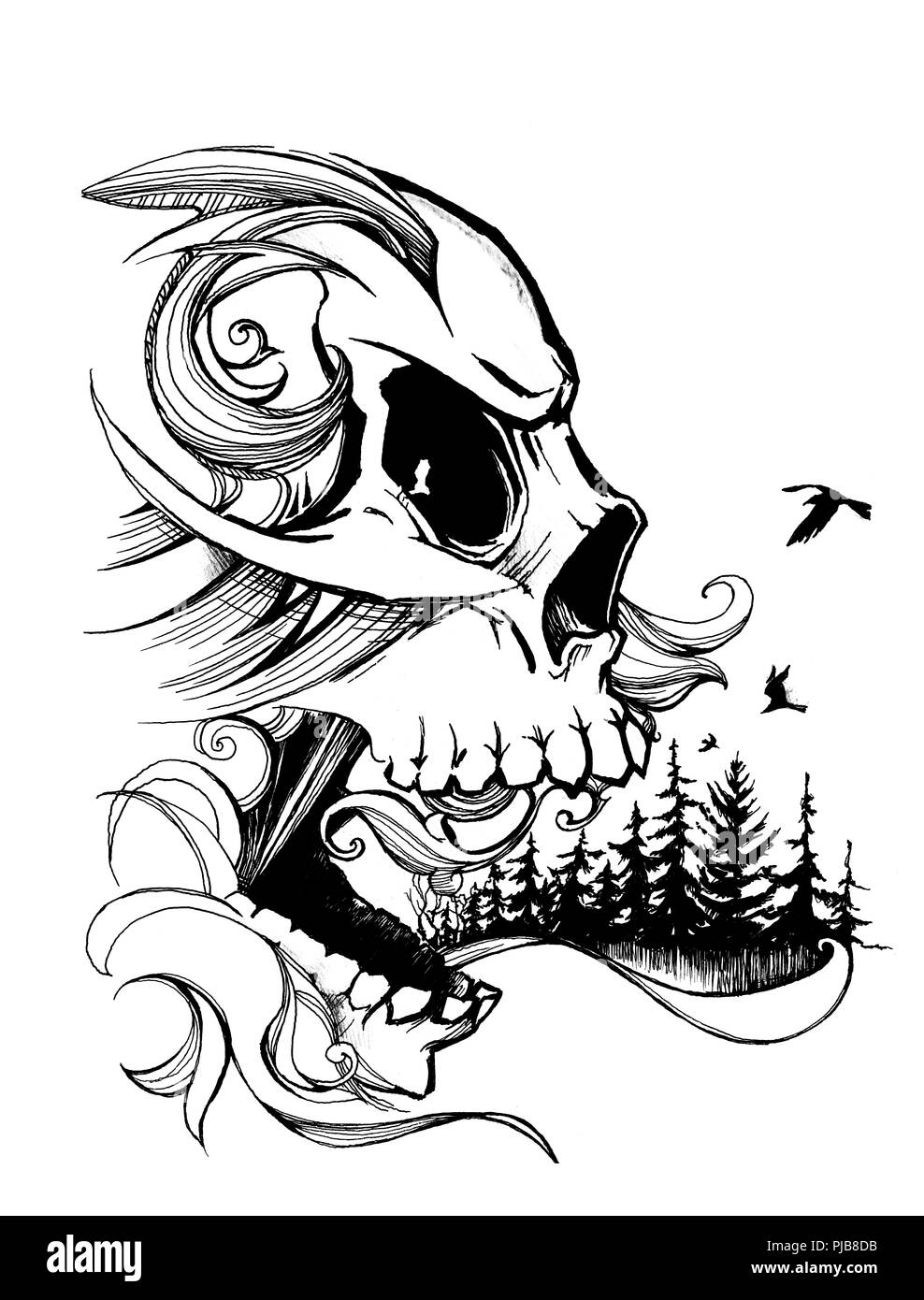 Cranio con gli elementi della configurazione dello sfondo del bosco di conifere. In bianco e nero la grafica. Foto Stock