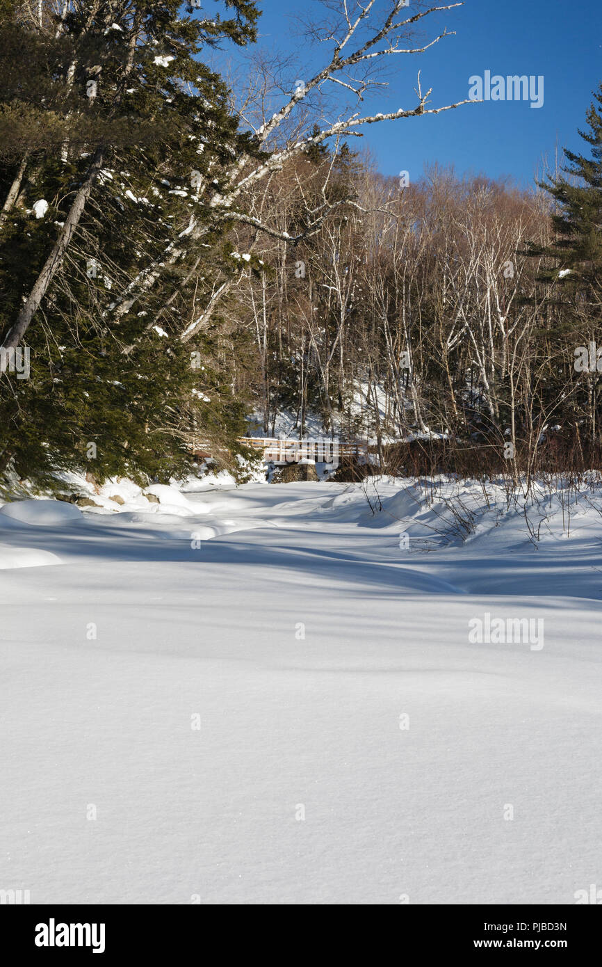 Ponte pedonale lungo la Lincoln Woods Trail a Lincoln, New Hampshire. Questo ponte attraversa il Franconia Brook, escursionisti e entrare nel Pemigewasset Wilde Foto Stock