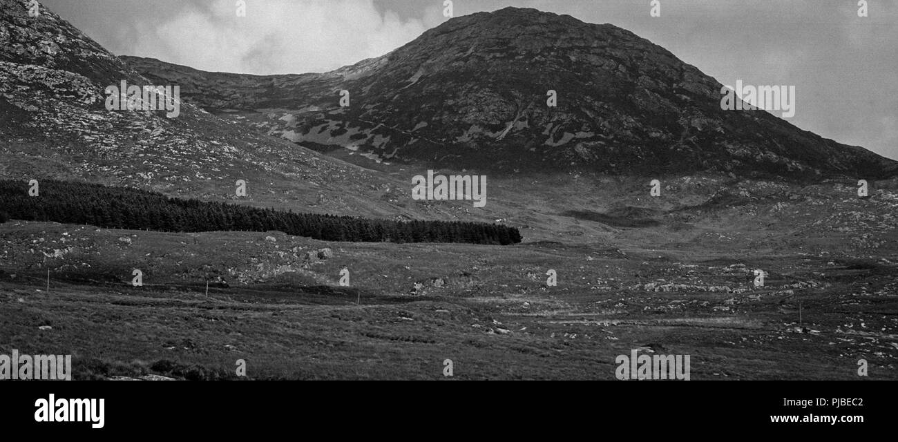 In bianco e nero del paesaggio, la foresta e la montagna in remoto di Connemara, nella contea di Galway, Irlanda Foto Stock