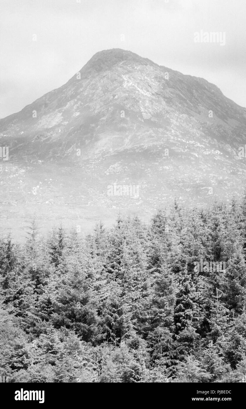 In bianco e nero del paesaggio, la foresta e la montagna in remoto di Connemara, nella contea di Galway, Irlanda Foto Stock