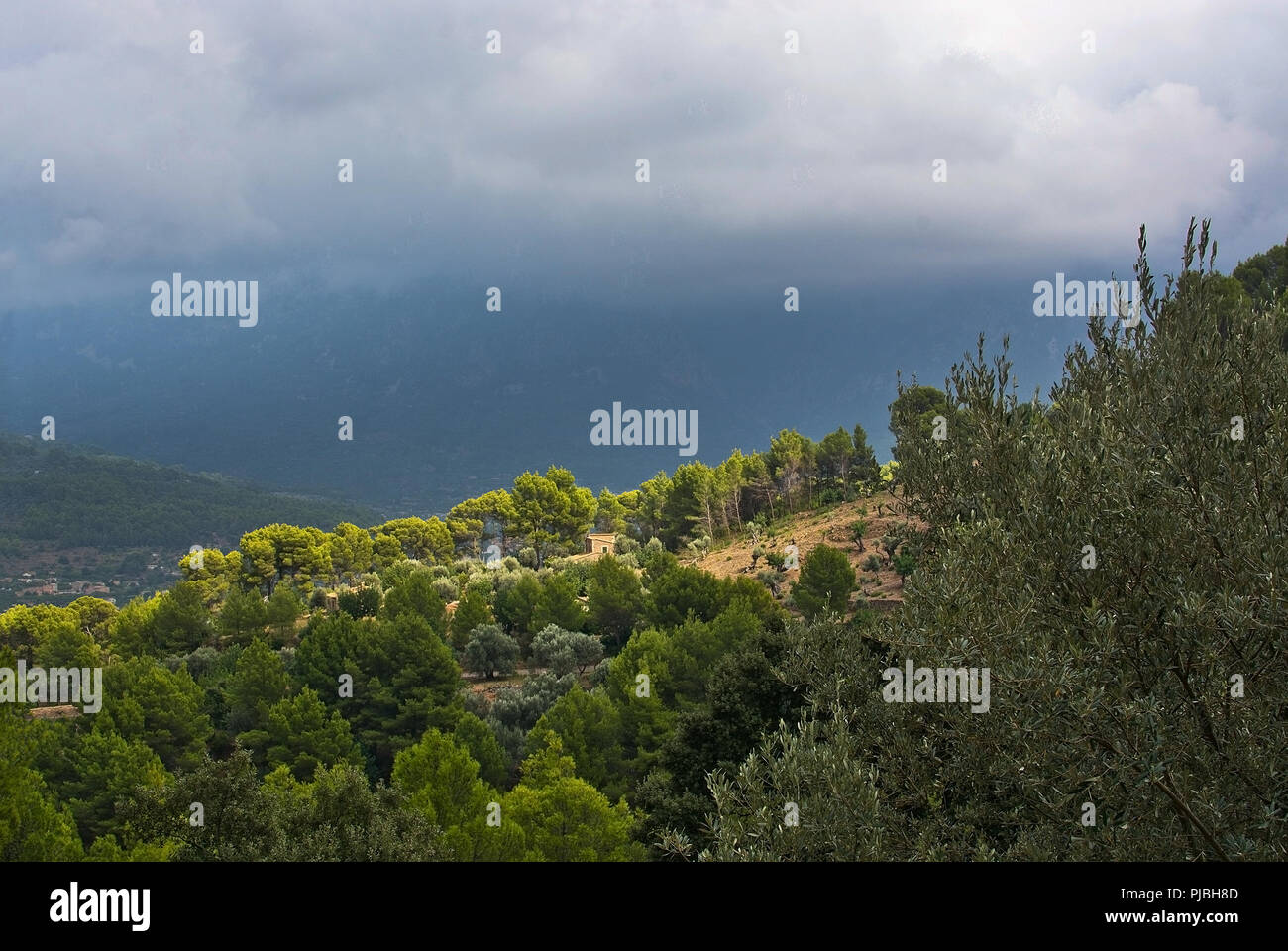 Maestoso paesaggio di montagna con sole e ombra e sfumature di verde prima di tempesta in agosto, Mallorca, Spagna. Foto Stock