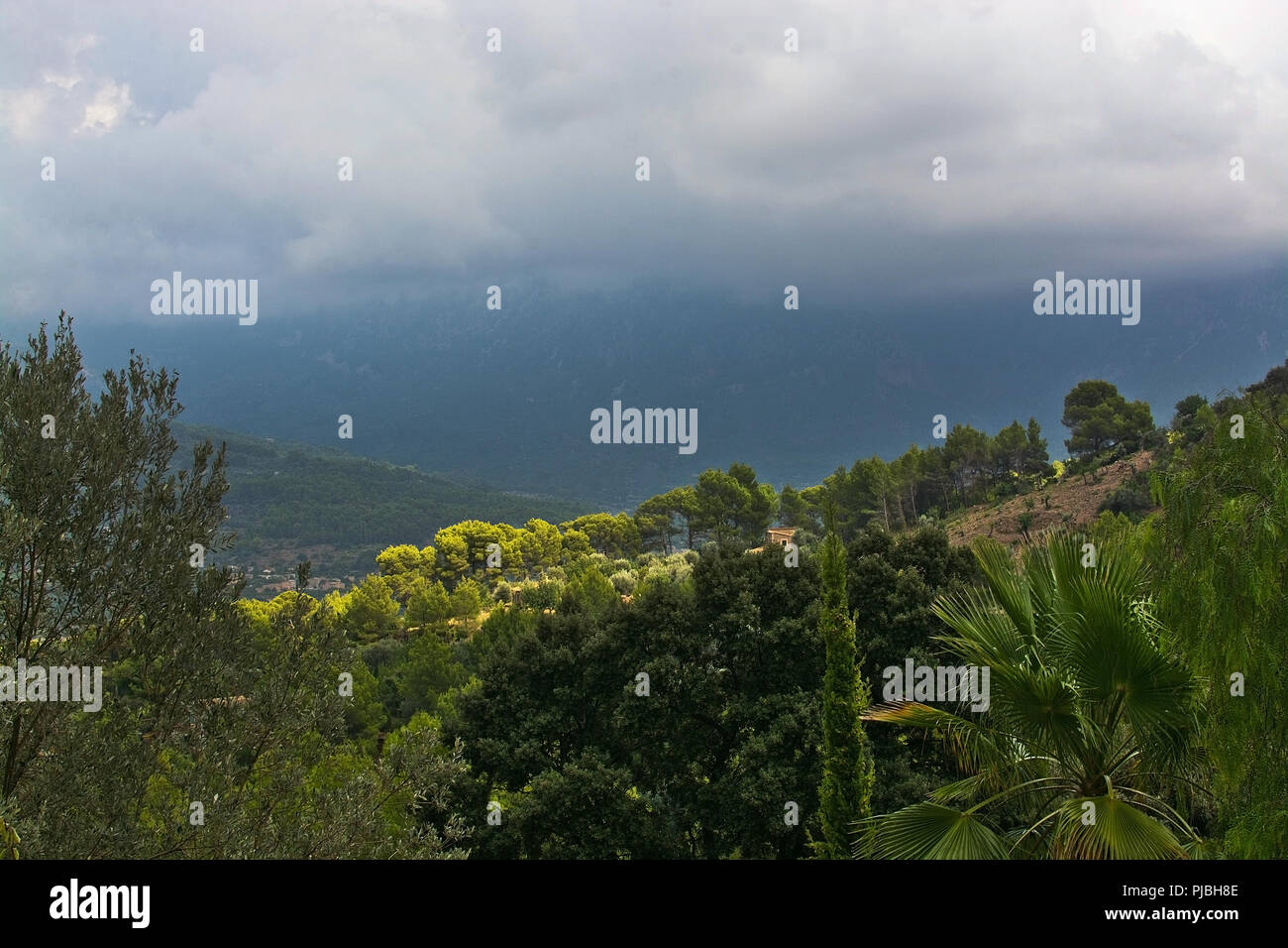 Maestoso paesaggio di montagna con sole e ombra e sfumature di verde prima di tempesta in agosto, Mallorca, Spagna. Foto Stock
