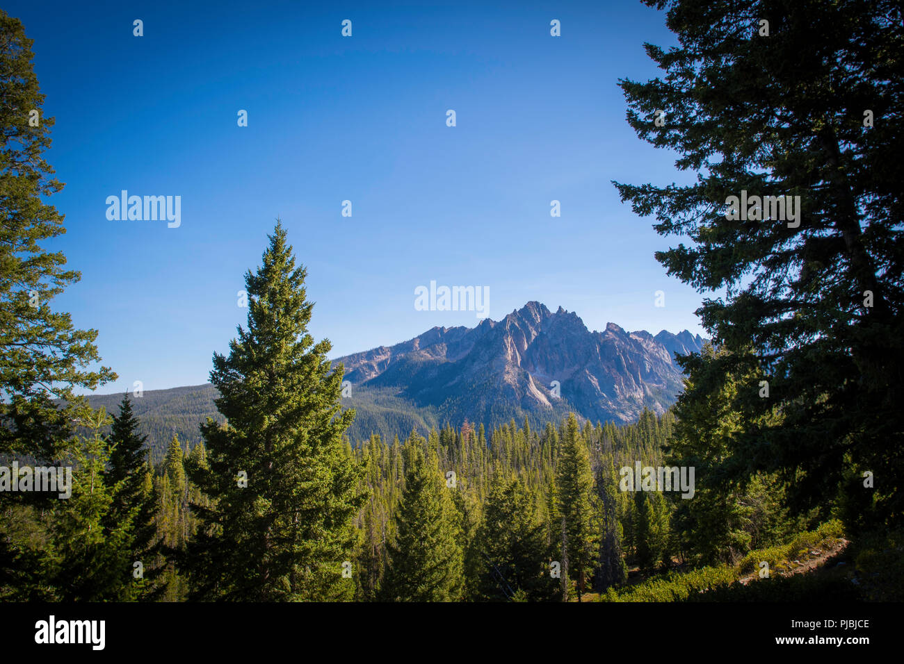 Le Sawtooth Mountains Idaho Foto Stock