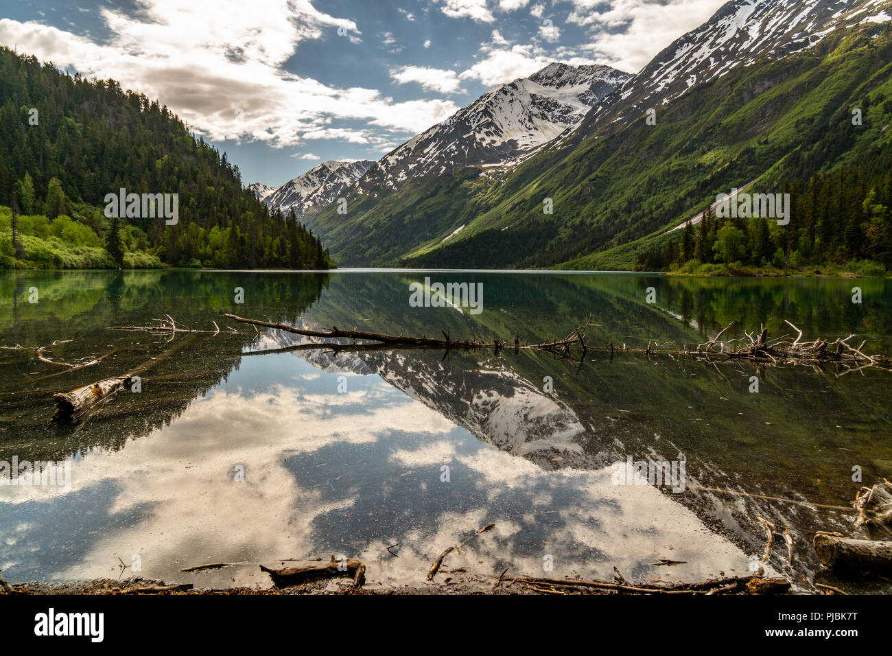 La Ptarmigan Lake, Chugach National Forest, Penisola di Kenai, Alaska, STATI UNITI D'AMERICA Foto Stock