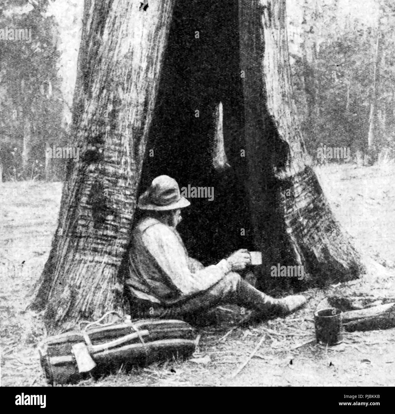 Un 1920 Immagine di un sedimentatore australiano (swag-uomo o gold miner ) che vivono in una capanna di fortuna fatta da un incavo tronco di albero Foto Stock