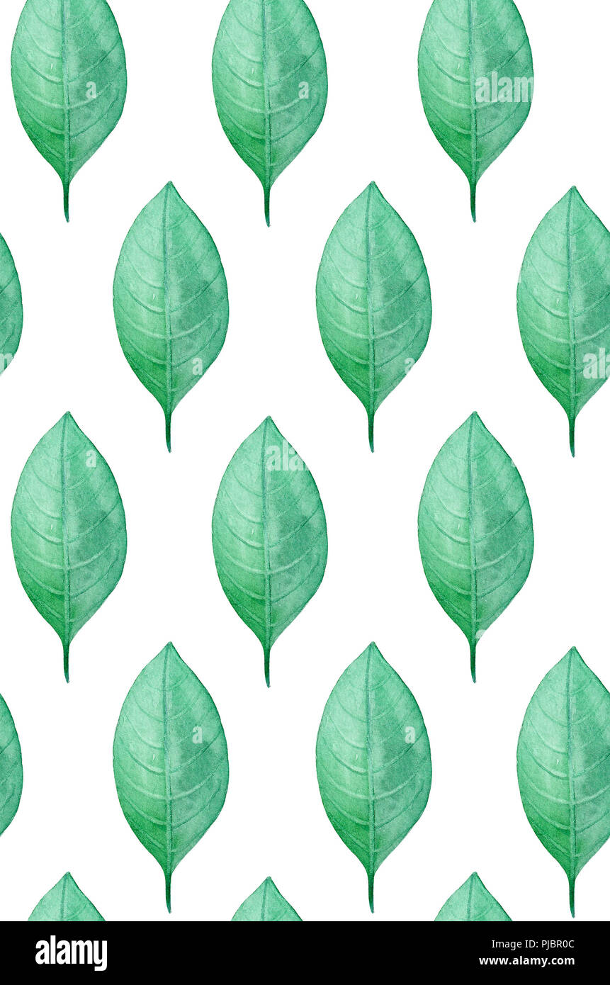 Acquerello lascia pattern. Verde sfondo botanico Foto Stock