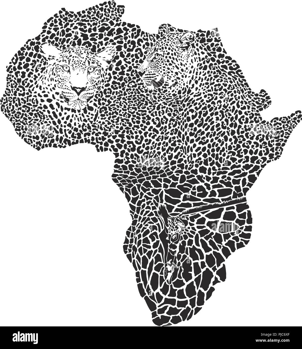 Leopardi e giraffe sulla mappa di Africa Illustrazione Vettoriale