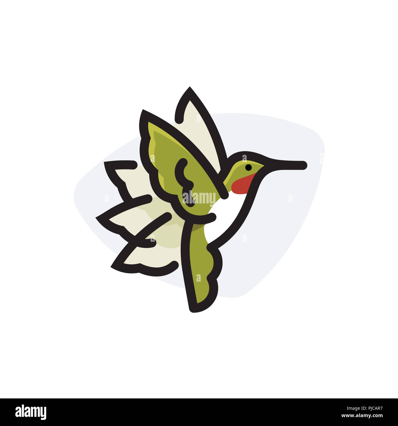 Colibrì Foto Stock