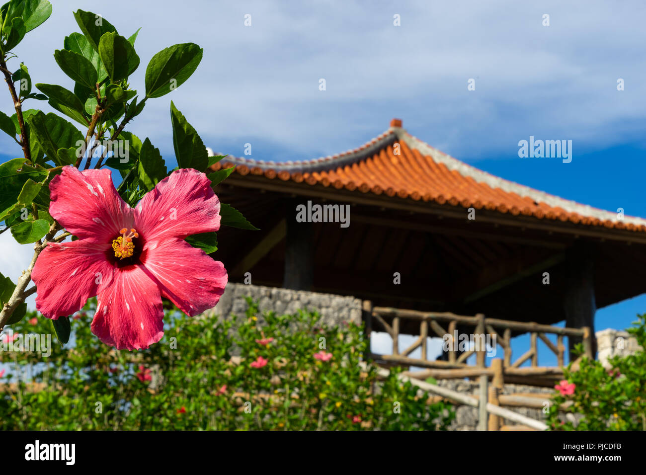 Paesaggio di Tamarotizaki Viewpoint in Isola di Ishigaki, Okinawa in Giappone Foto Stock