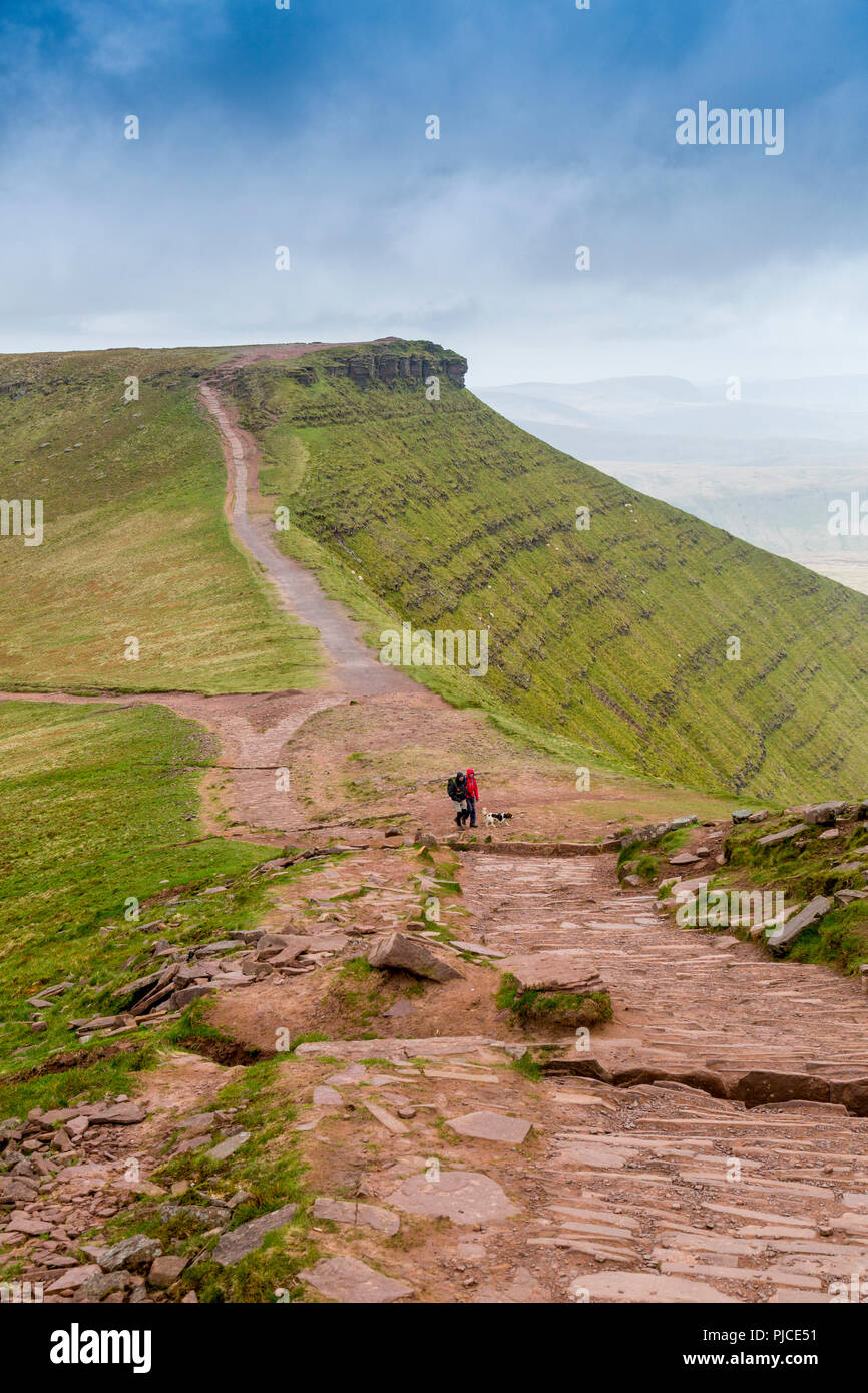 Walkers avvicinarsi al vertice di Pen-y-ventola (il punto più alto sul Brecon Beacons e nel sud della Gran Bretagna) con mais Du oltre, Powys, Wales, Regno Unito Foto Stock