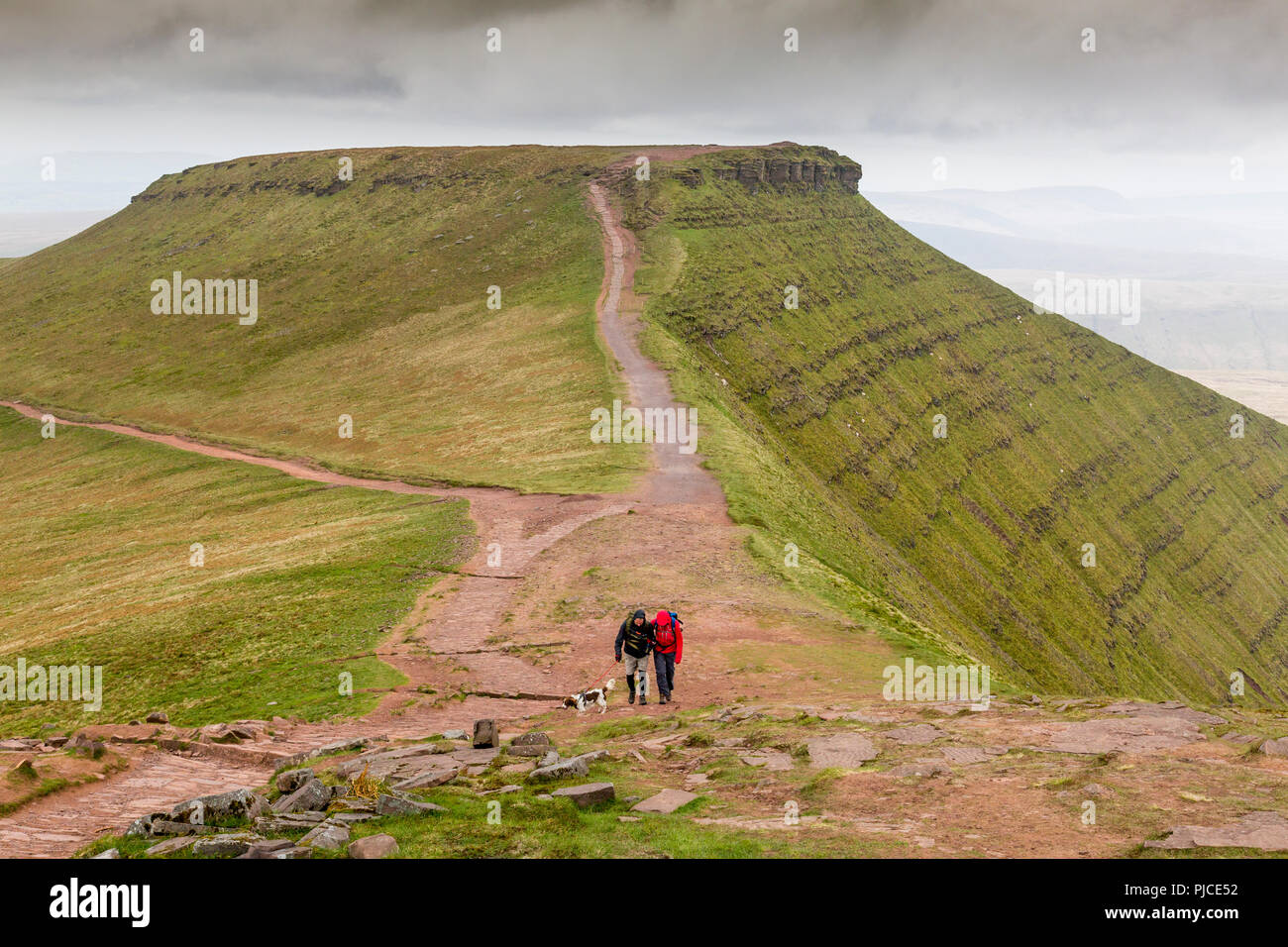 Walkers avvicinarsi al vertice di Pen-y-ventola (il punto più alto sul Brecon Beacons e nel sud della Gran Bretagna) con mais Du oltre, Powys, Wales, Regno Unito Foto Stock