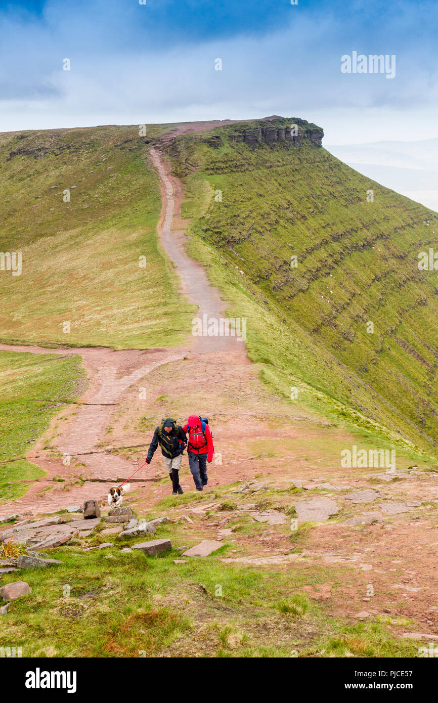 Walkers avvicinarsi al vertice di Pen-y-ventola (il punto più alto sul Brecon Beacons e nel sud della Gran Bretagna) con mais Du oltre, Powys, Wales, Regno Unito Foto Stock