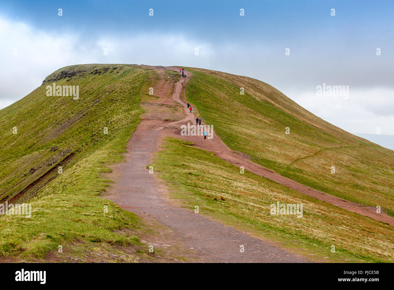 Walkers sul Pen-y-ventola, il punto più alto sul Brecon Beacons e nel sud della Gran Bretagna, Powys, Wales, Regno Unito Foto Stock
