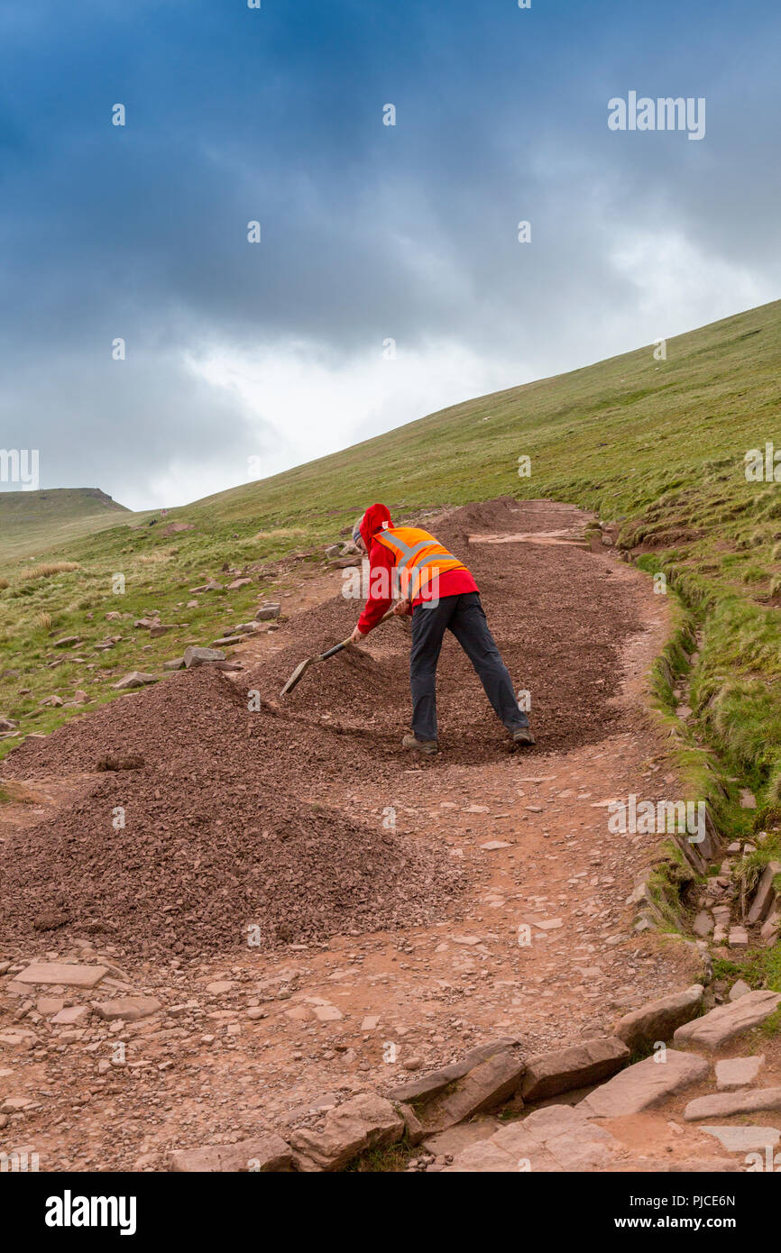 Un National Trust volontario di riparare il sentiero di Pen-y-ventola, il punto più alto sul Brecon Beacons e nel sud della Gran Bretagna, Powys, Wales, Regno Unito Foto Stock