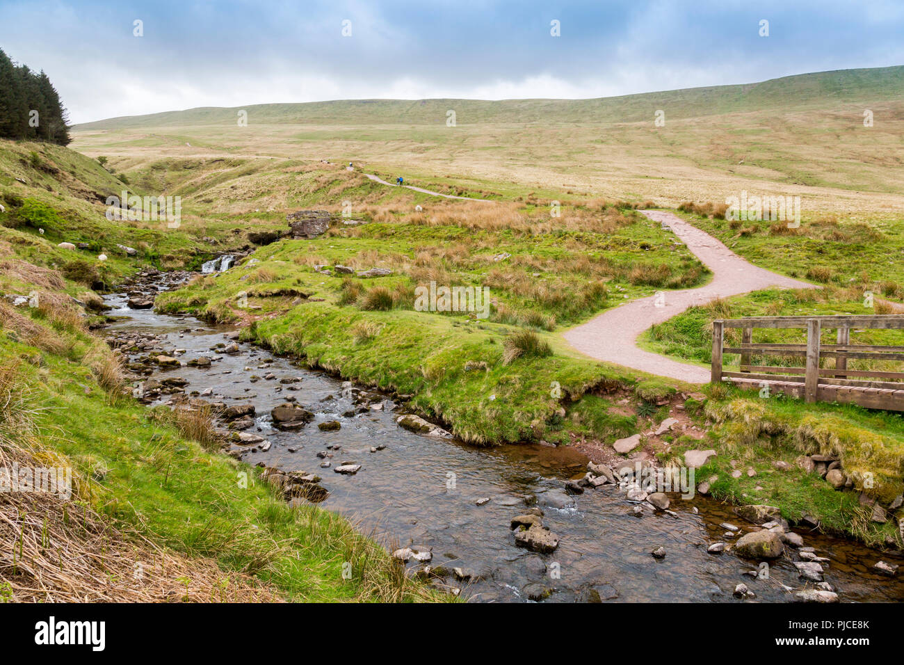 Blaen Taf Fawr stream segna l'inizio del sentiero a Pen-y-Ventola il punto più alto sul Brecon Beacons e nel sud della Gran Bretagna, Powys, Wales, Regno Unito Foto Stock