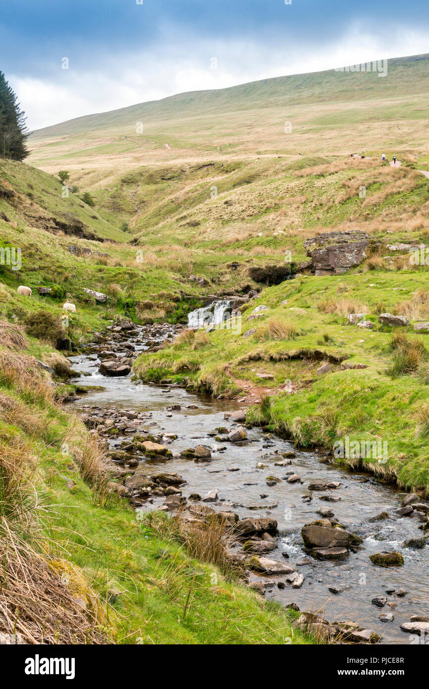 Blaen Taf Fawr stream segna l'inizio del sentiero a Pen-y-Ventola il punto più alto sul Brecon Beacons e nel sud della Gran Bretagna, Powys, Wales, Regno Unito Foto Stock