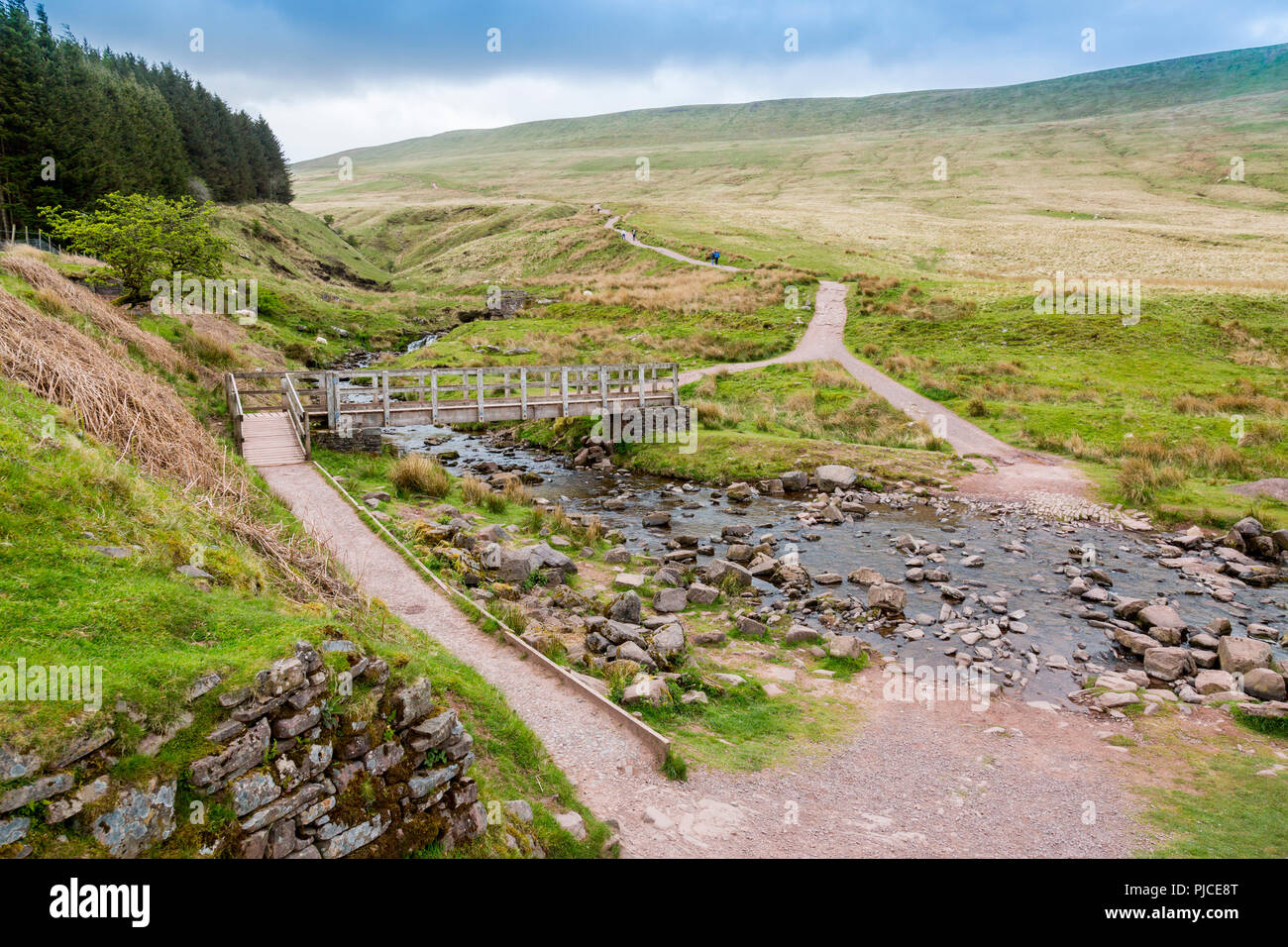 Blaen Taf Fawr stream segna l'inizio del sentiero a Pen-y-Ventola il punto più alto sul Brecon Beacons e nel sud della Gran Bretagna, Powys, Wales, Regno Unito Foto Stock
