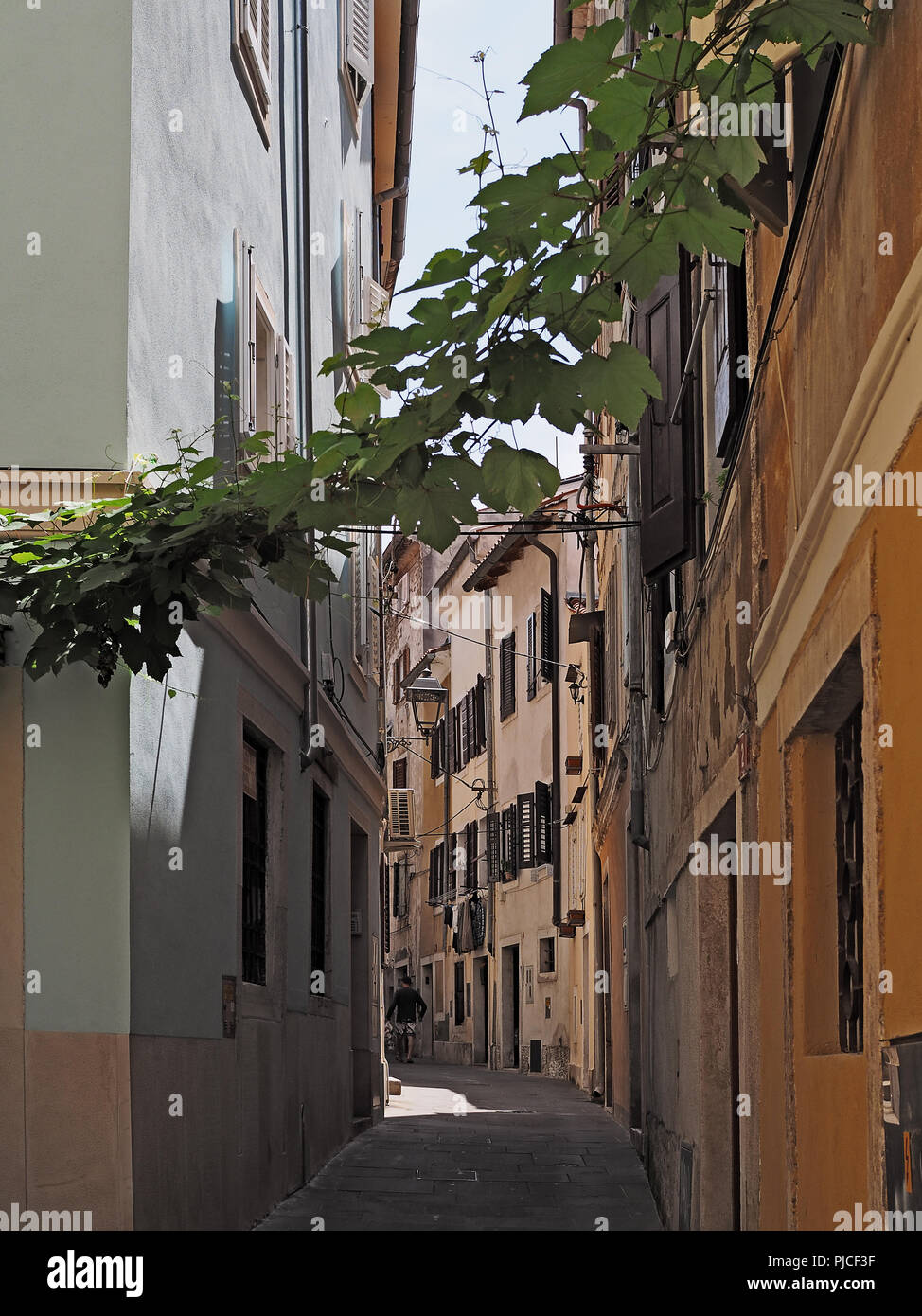 Le strette vie del centro storico città di Pirano in Istria slovena sulla costa adriatica Foto Stock