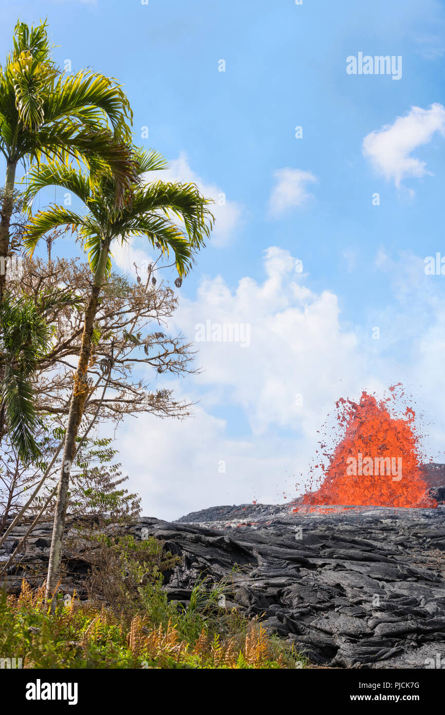Lava dal vulcano Kilauea erutta da una fessura sulla strada Pohoiki, appena fuori di Leilani Estates suddivisione, vicino Pahoa, Puna quartiere Isola delle Hawaii Foto Stock
