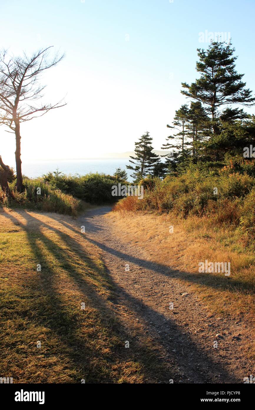 West coast path Foto Stock