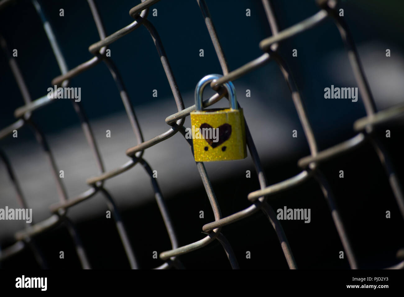 Il lucchetto con il simbolo del cuore nel mezzo di una catena di recinzione collegati Foto Stock