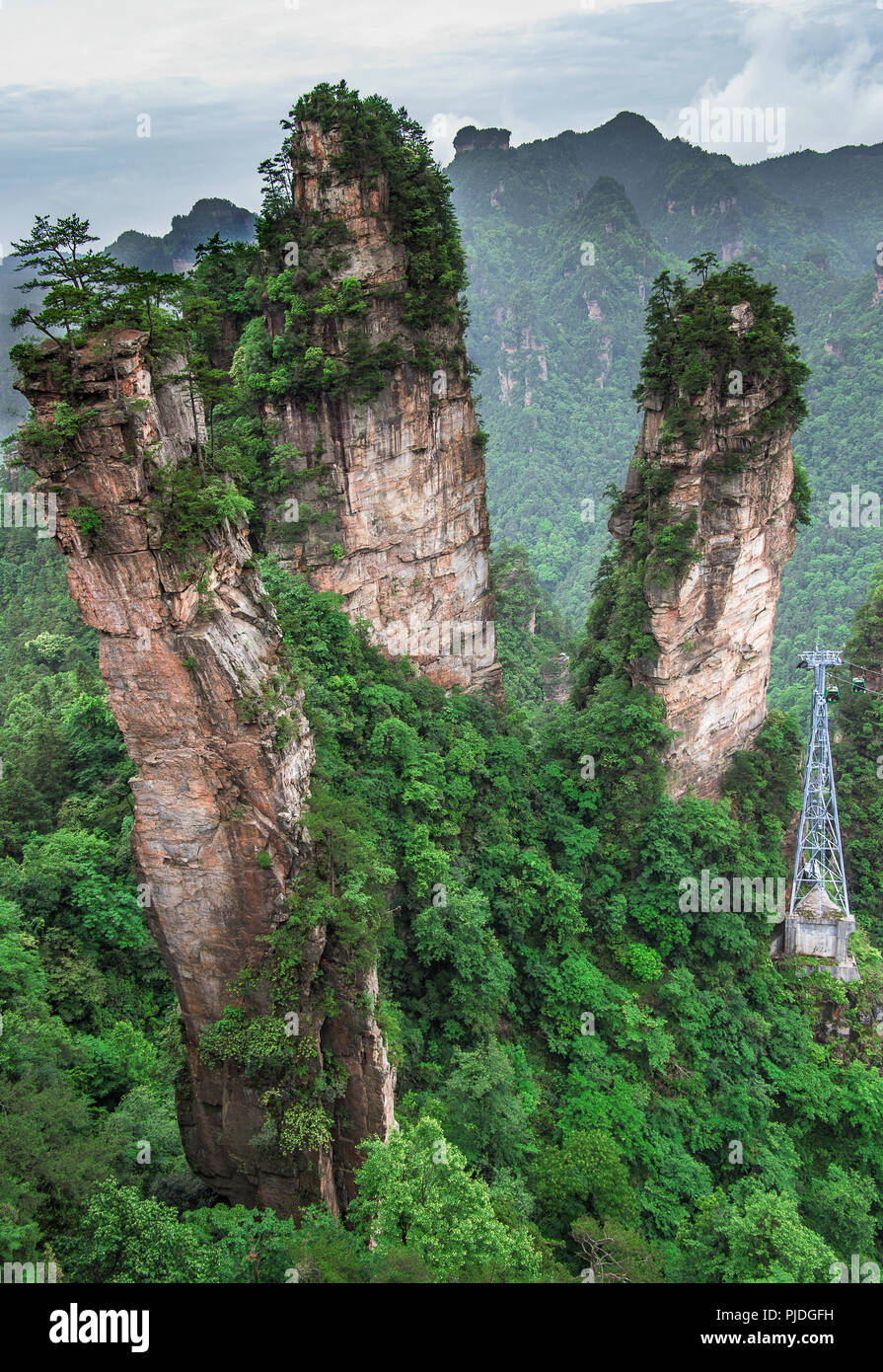 Zhangjiajie la Foresta di Pietra della Cina del Sud Foto Stock