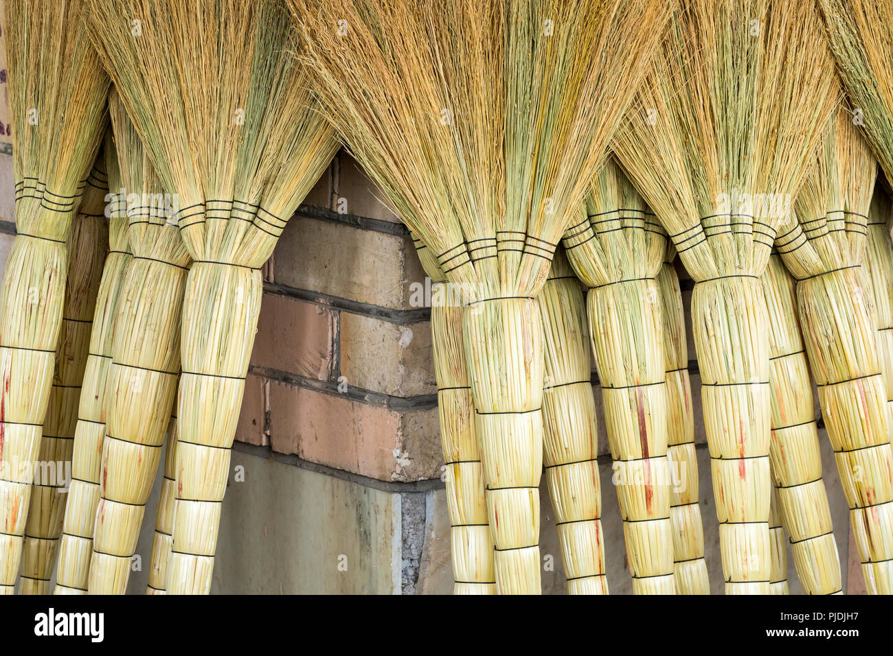 Un palo di bambù scope nel mercato per la vendita in Uzbekistan bazaar. Foto Stock