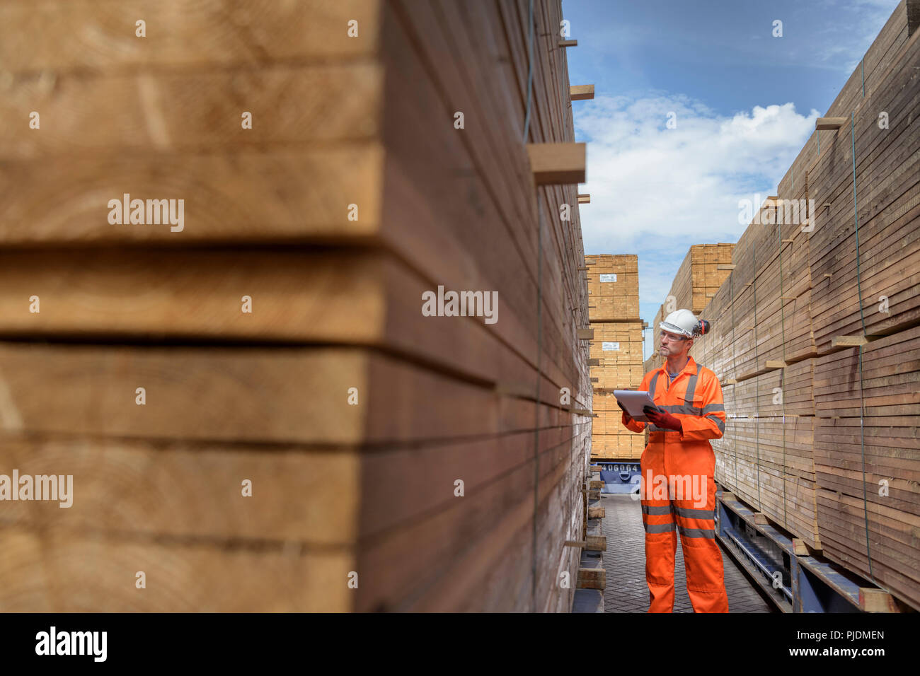 Lavoratore con pile di legname in deposito a porto Foto Stock