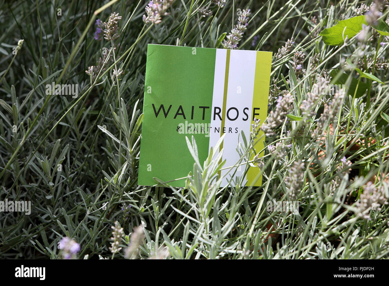 Waitrose & Partners, un nuovo logo e un nuovo branding per il Waitrose Supermarket, visualizzata su un foglietto inviato ai clienti. Foto Stock