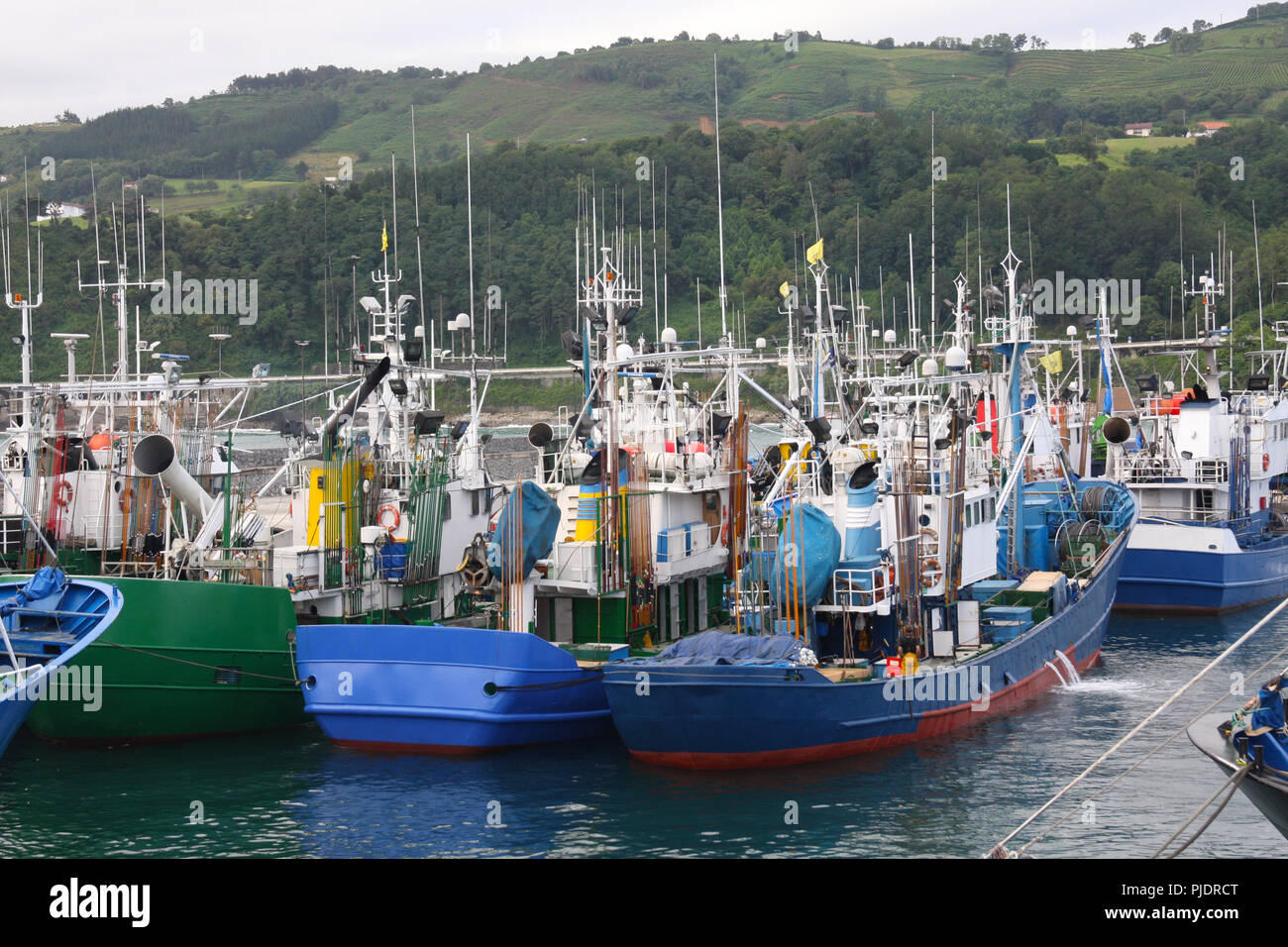 MSC-certified tonni albacora di troll e Pole & line della flotta da pesca in Getaria Harbour (paese basco) Foto Stock