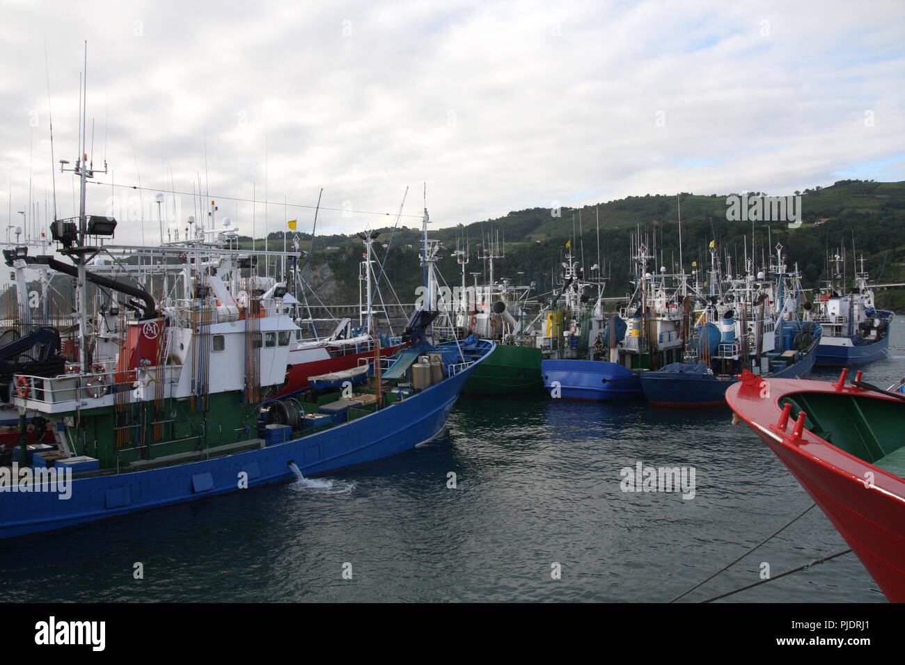MSC-certified tonni albacora di troll e Pole & line della flotta da pesca in Getaria Harbour (paese basco) Foto Stock