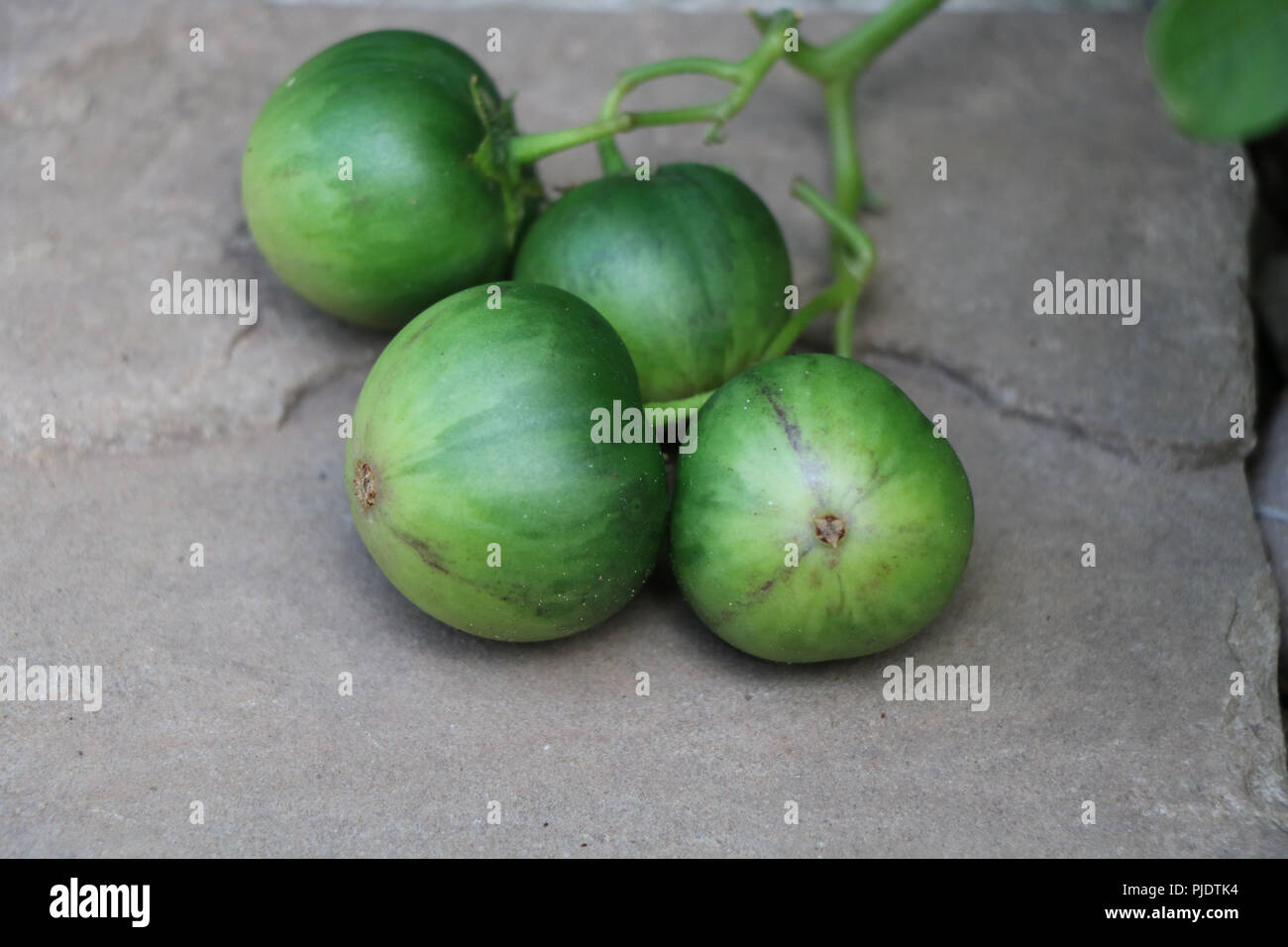 Apple di patate o frutta di patate Foto Stock