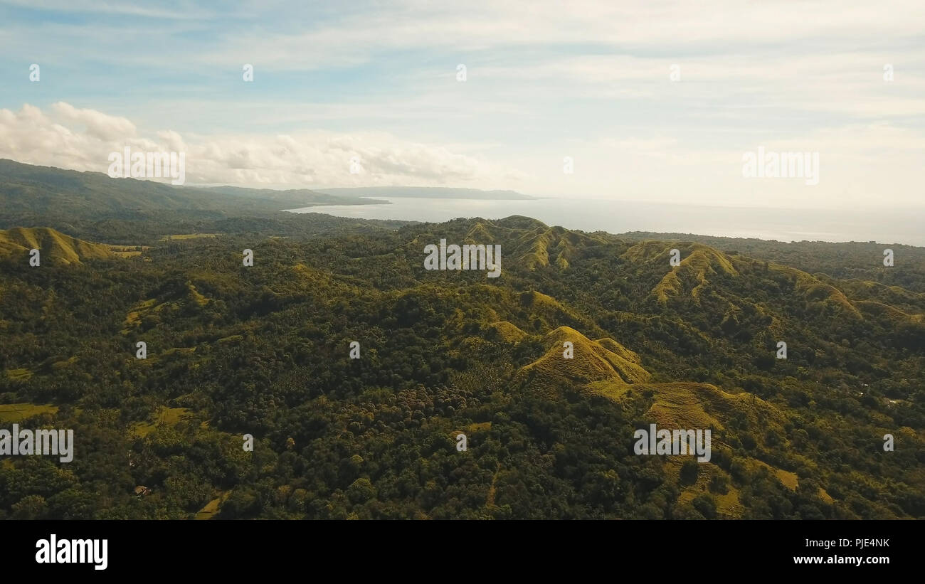 La foresta pluviale, giungla ricoperti di vegetazione verde e alberi sull'isola tropicale, paesaggio. Vista aerea: montagne e colline con bosco selvatico. Collina nella foresta pluviale e jungle. Filippine, Siargao. Foto Stock