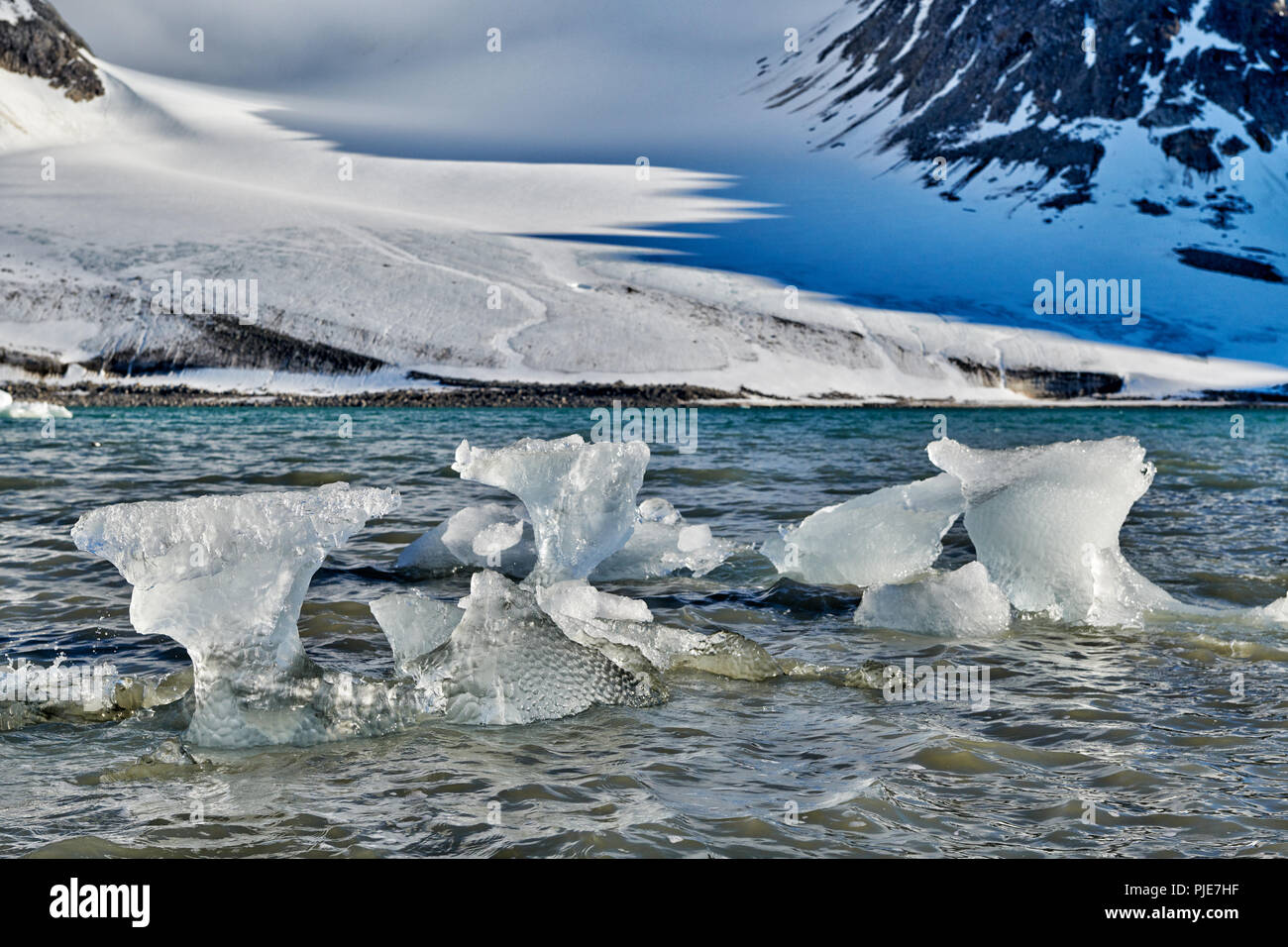 Floes di ghiaccio del ghiacciaio Gullybreen, paesaggio di Magdalenefjorden, Svalbard o Spitsbergen, Europa Foto Stock