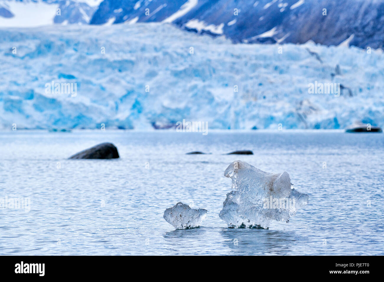 Kleine Eisstücke treiben vor Gletscher, Ny Alesund, Spitzbergen, Europa |piccoli pezzi di ghiaccio flooting nella parte anteriore del ghiacciaio, Ny Alesund, Svalbard o SPI Foto Stock