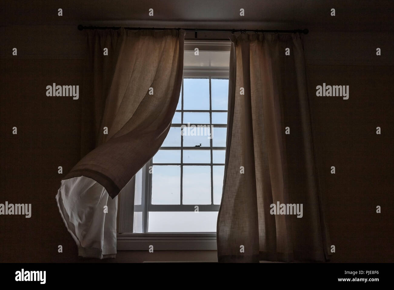 Una brezza estiva soffia tende da aprire una finestra ad anta, Hugh House, Hugh Town, St. Mary's, isole Scilly, REGNO UNITO Foto Stock