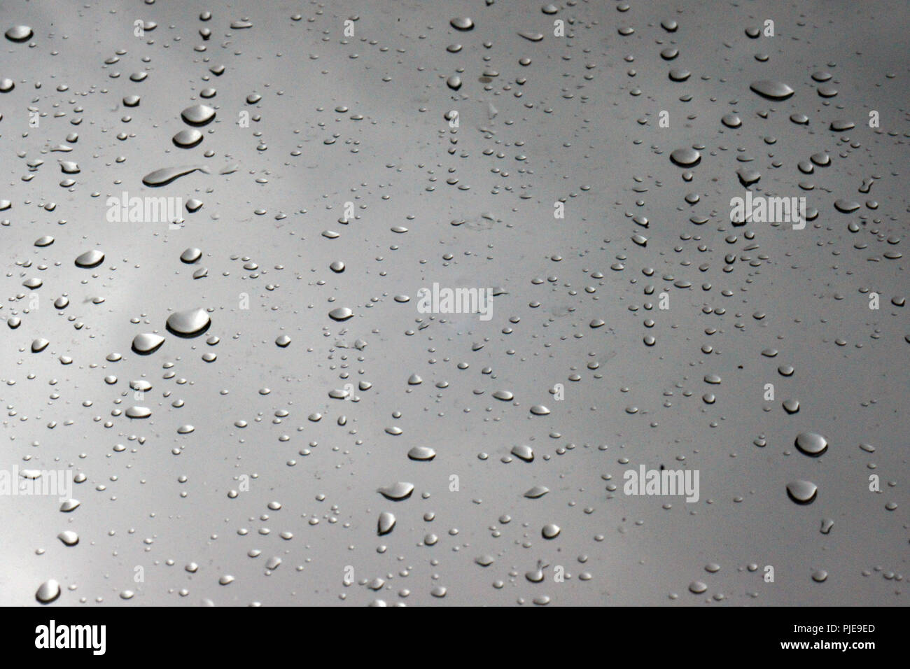 Gocce di pioggia in corrispondenza della finestra Foto Stock