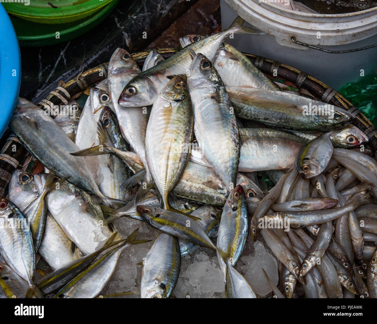 Pesce fresco nel mercato mattutino di Hanoi, Vietnam Foto Stock