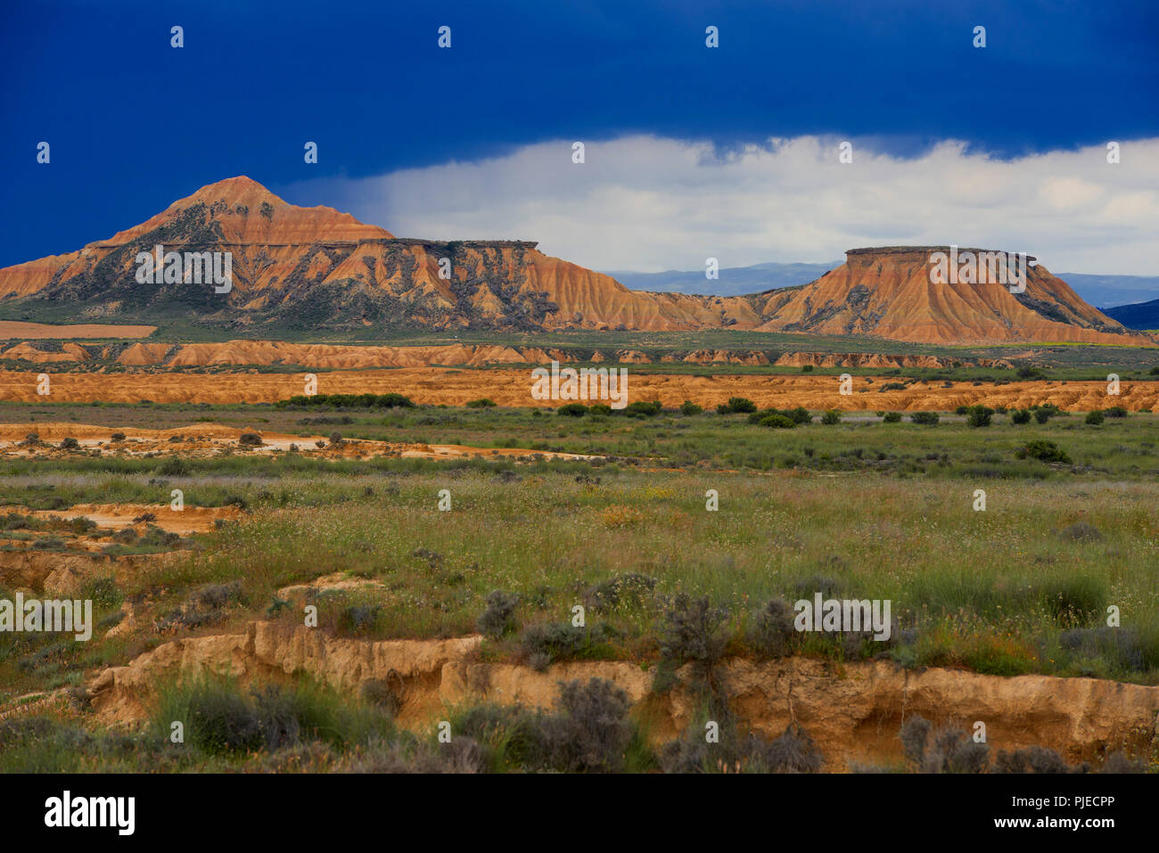 Tipica formazione di roccia, Bardenas Reales parco naturale, Spagna Foto Stock