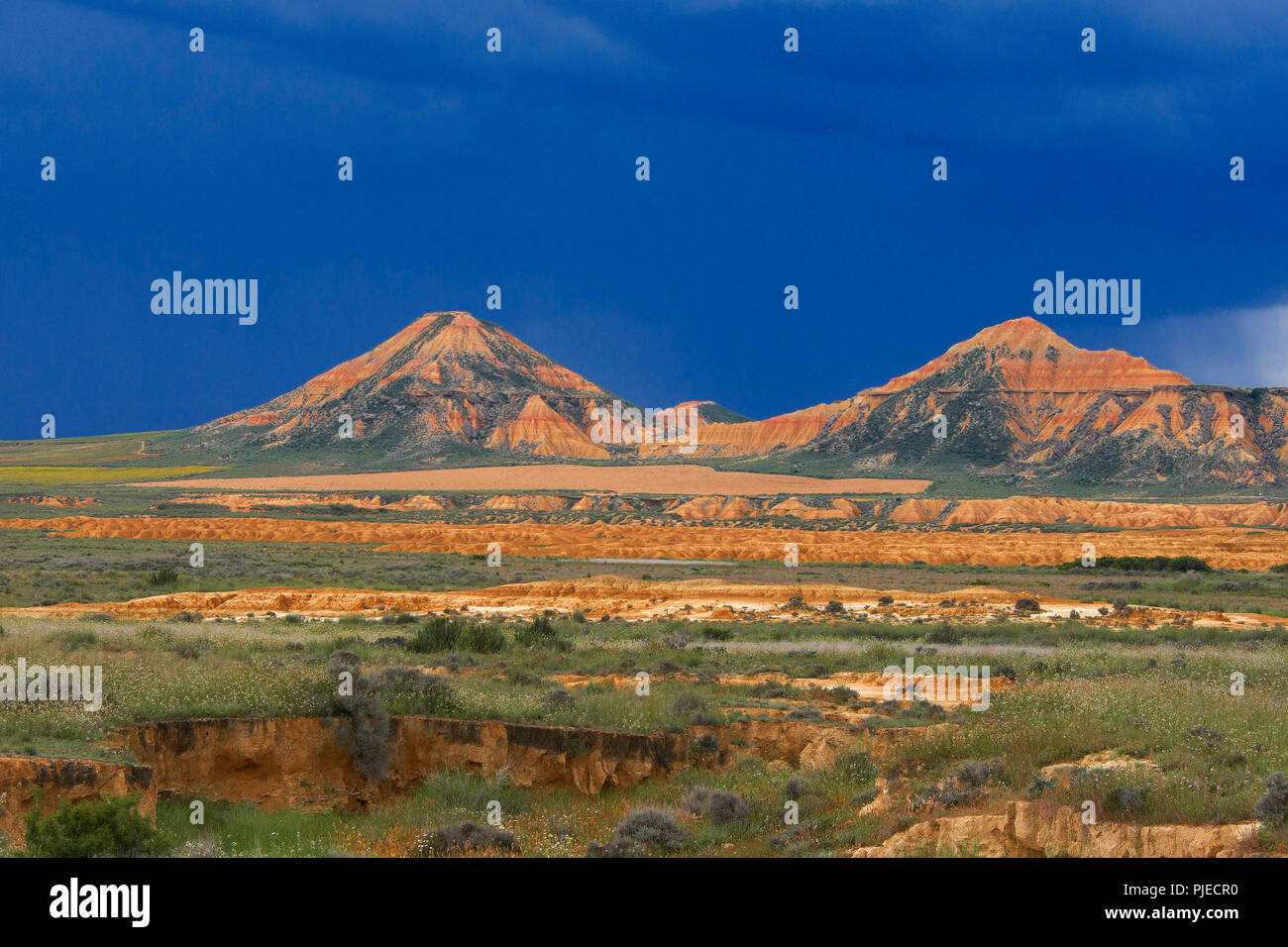 Tipica formazione di roccia, Bardenas Reales parco naturale, Spagna Foto Stock