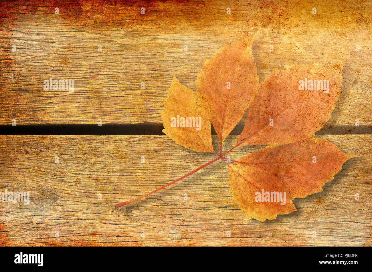 Autunno sfondo. Colorato in rosso e arancione caduta foglie su sfondo di legno - look vintage. Foto Stock