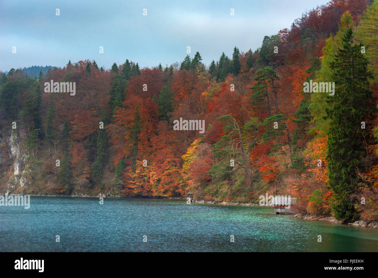 Incredibile scenario autunnale con colori d'autunno alberi e una casetta di legno, sul lungolago Alpsee, in un giorno nuvoloso in ottobre, a Fussen, Germania. Foto Stock