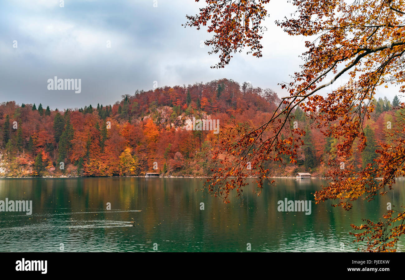 Colori d'autunno paesaggi con colline coperte da caduta multicolore foresta sul Alpsee lakeshore, in un giorno nuvoloso in ottobre, in Baviera, Germania. Foto Stock