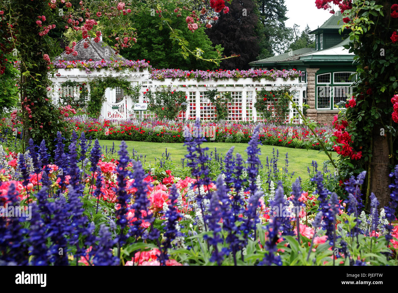 I Giardini Butchart , Brentwood Bay, British Columbia, Canada Foto Stock