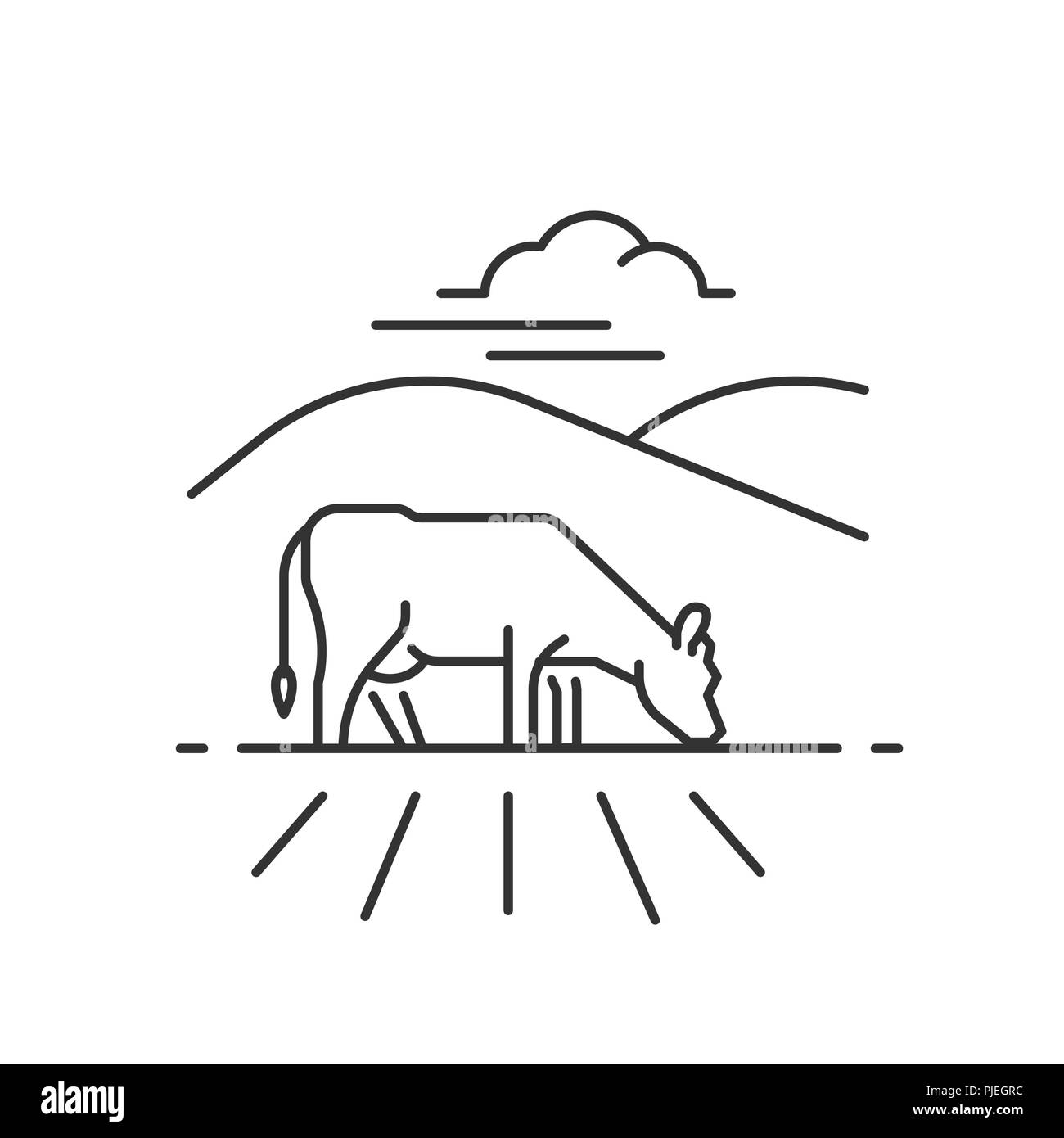 Il pascolo di vacca in un campo Illustrazione Vettoriale