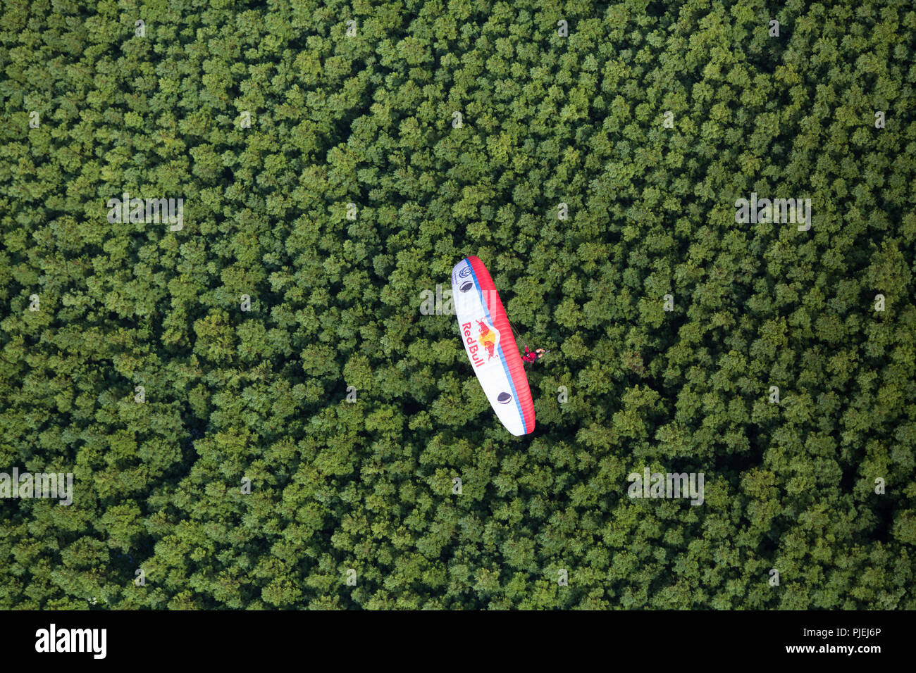 Un pilota di parapendio volare a Pastinhos, São Miguel, Azzorre. Foto Stock